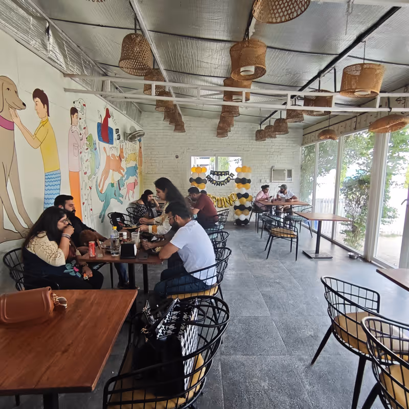 Artisan coffee and dog treats