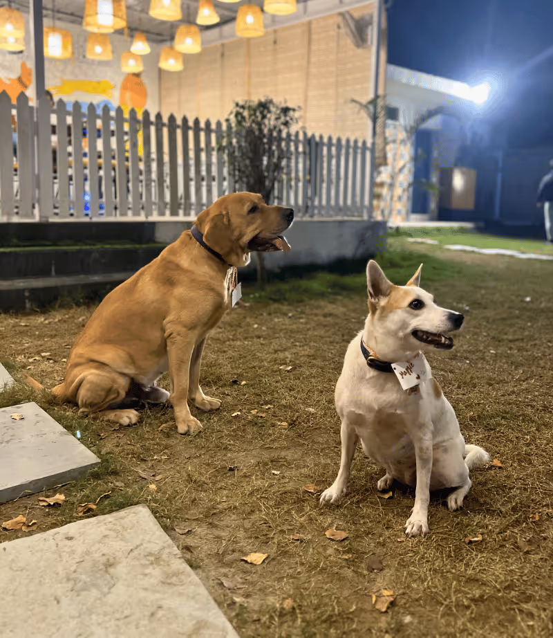 Community gathering at the cafe